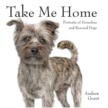 Paperback Take Me Home: Portraits of Homeless and Rescued Dogs Book