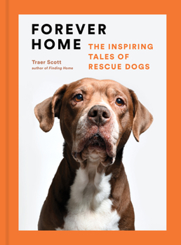 Hardcover Forever Home: The Inspiring Tales of Rescue Dogs Book