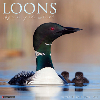 Calendar Loons 2021 Wall Calendar Book