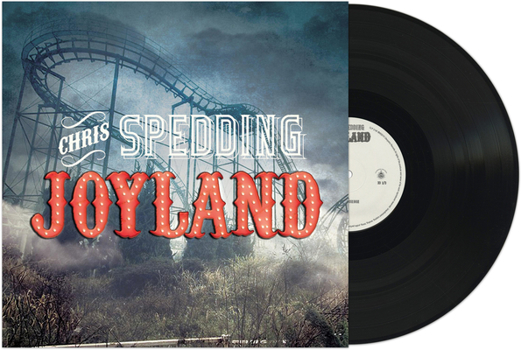 Vinyl Joyland Book