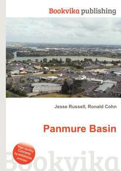 Paperback Panmure Basin Book