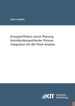 Paperback Energieeffizienz durch Planung betriebsübergreifender Prozessintegration mit der Pinch-Analyse [German] Book