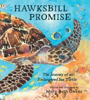 Hardcover Hawksbill Promise: The Journey of an Endangered Sea Turtle Book