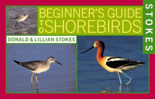 Paperback Stokes Beginner's Guide to Shorebirds Book