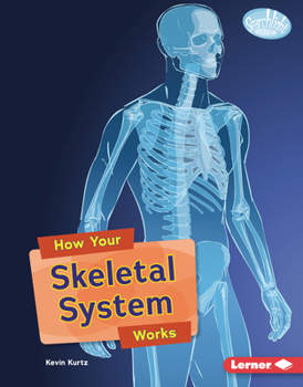 How Your Skeletal System Works