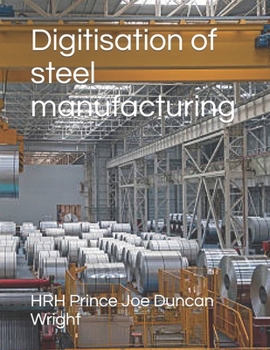 Paperback Digitisation of steel manufacturing Book