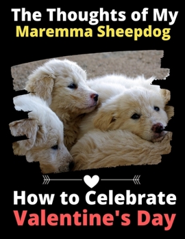 The Thoughts of My Maremma Sheepdog: How to Celebrate Valentine's Day