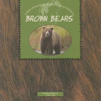 Paperback Brown Bears Book