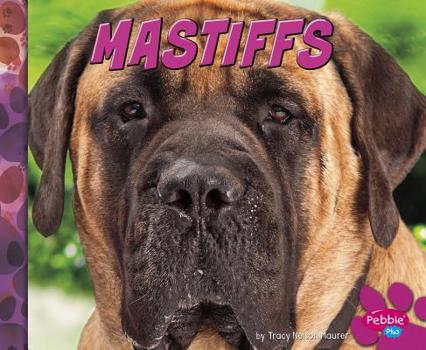 Hardcover Mastiffs Book