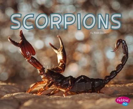 Hardcover Scorpions Book