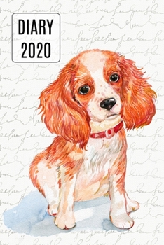Paperback 2020 Daily Diary Planner, Watercolor Spaniel: Three Days Per Page Full Year Planner Book
