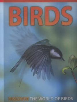 Paperback Birds Book