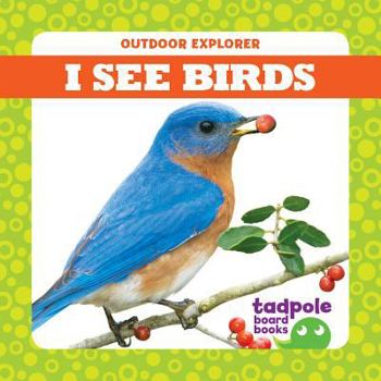 Board book I See Birds Book