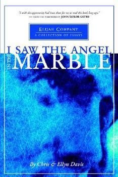 Paperback I Saw the Angel in the Marble Book