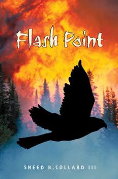 Hardcover Flash Point Book