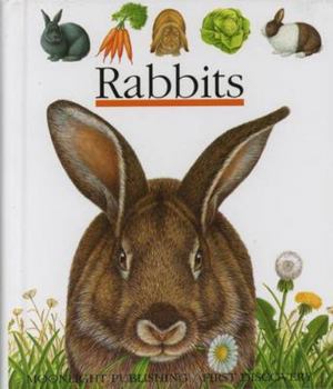 Spiral-bound Rabbits Book