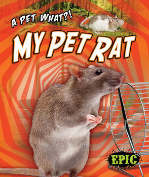 Library Binding My Pet Rat Book