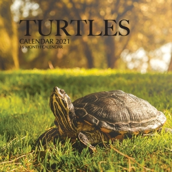 Paperback Turtles Calendar 2021: 16 Month Calendar Book