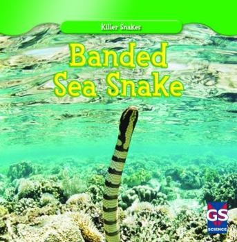 Banded Sea Snake - Book  of the Killer Snakes