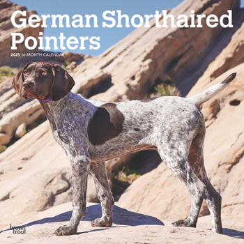 Calendar German Shorthaired Pointers 2025 12 X 24 Inch Monthly Square Wall Calendar Plastic-Free Book