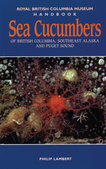 Paperback Sea Cucumbers of British Columbia, Southeast Alaska and Puget Sound Book