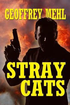 Paperback Stray Cats Book