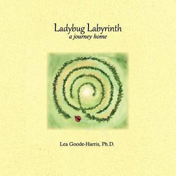 Ladybug Labyrinth: A Journey Home