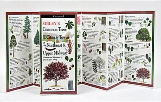 Poster Sibley's Common Trees in the Cities & Towns of the Northeast & Upper Midwest Book