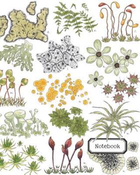 Paperback Notebook: Wide Ruled Lined Composition Book for Taking Notes, Homework, Home School or Journaling Book