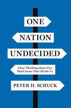 Paperback One Nation Undecided: Clear Thinking about Five Hard Issues That Divide Us Book