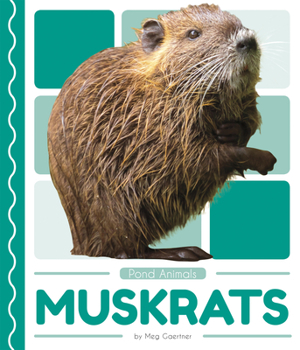 Muskrats - Book  of the Pond Animals