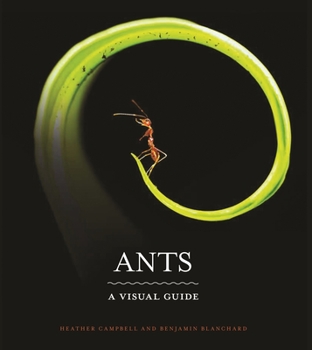 Hardcover Ants: A Visual Guide Book