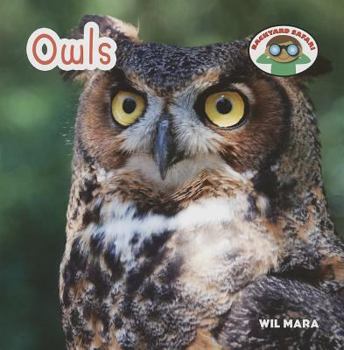 Owls - Book  of the Backyard Safari