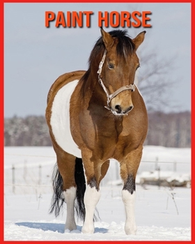Paperback Paint Horse: Informations Int?ressantes Concernant les Paint Horse [French] Book