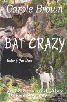 Paperback Bat Crazy Book