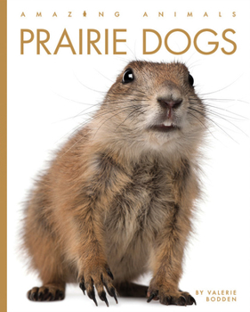 Prairie Dogs - Book  of the Amazing Animals