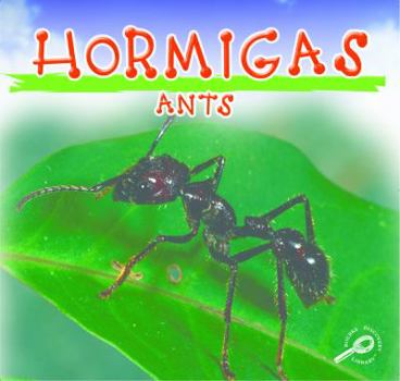 Library Binding Hormigas: Ants Book