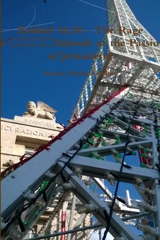 Paperback Ezekiel 16: 30 - The Rage of יהוה or the Passion of Jerusalem? Book