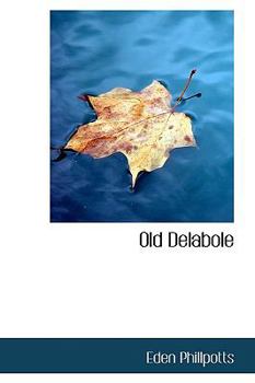 Paperback Old Delabole Book