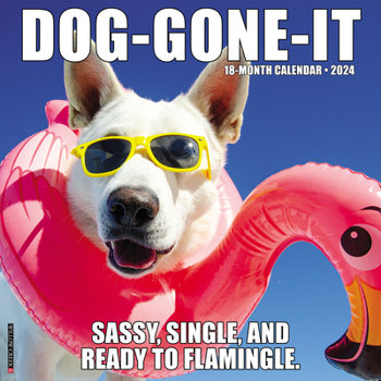 Calendar Dog-Gone-It 2024 12 X 12 Wall Calendar Book