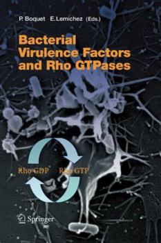 Paperback Bacterial Virulence Factors and Rho Gtpases Book