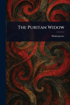 Paperback The Puritan Widow Book