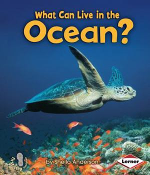 Paperback What Can Live in the Ocean? Book