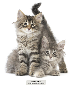 Calendar Kittens 2024 Engagement Book