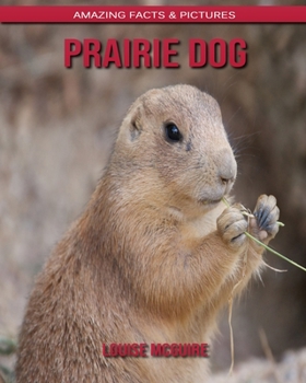 Prairie Dog: Amazing Facts & Pictures