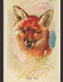 Paperback Red Fox: The Sketchbook for Red Fox Lovers Book