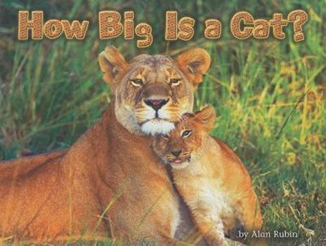 Paperback How Big Is a Cat? (Steck-Vaughn Shutterbug Books Leveled Reader: Math) Book