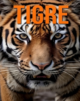 Paperback Tigre: Des Informations et des Images Amusantes et Intéressantes concernant les Tigre [French] Book
