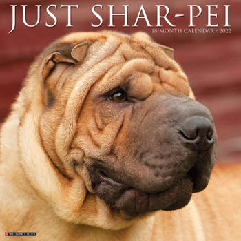 Calendar Just Shar-Peis 2022 Wall Calendar (Dog Breed) Book