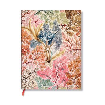 Misc. Anemone Ultra Unlined Softcover Journal, 176pg, 100gsm by Paperblanks (William Kilburn) Book